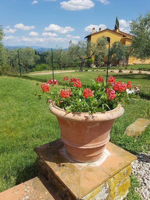 Agriturismo Il Pintello San Casciano in Val di Pesa Εξωτερικό φωτογραφία